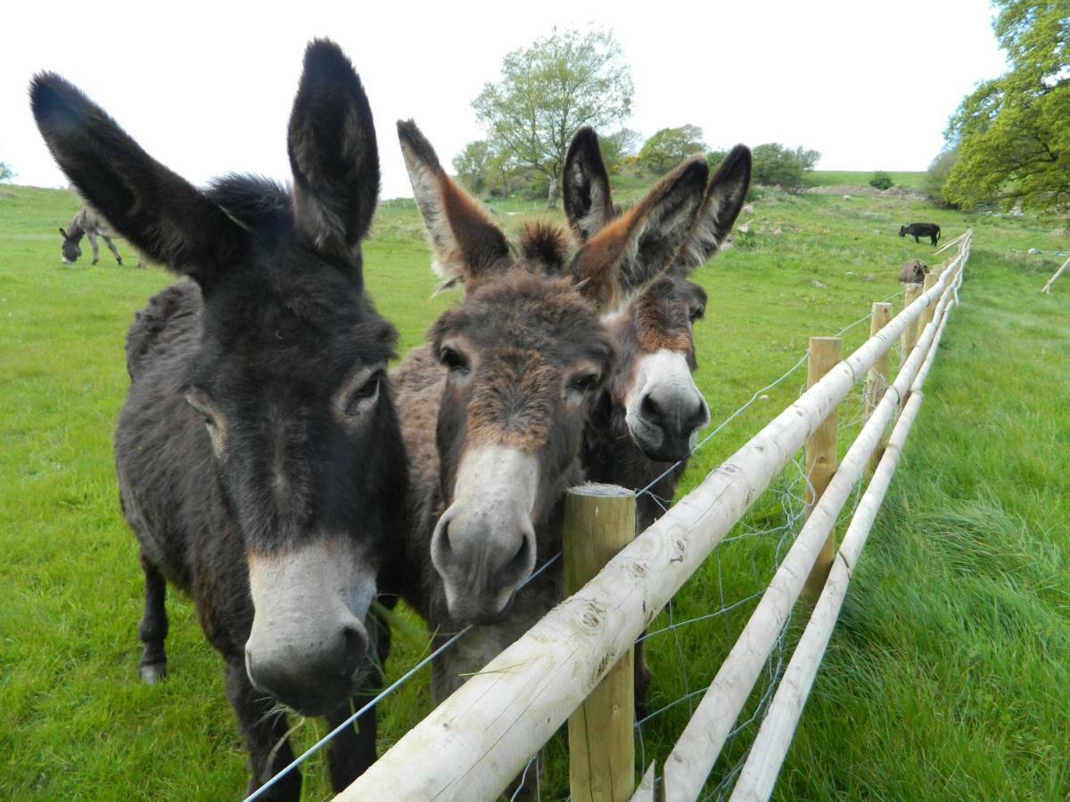 Parkgate Farm Parco vacanze *